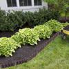 Ribera Brown Garden Lawn Palisade 280 Cm