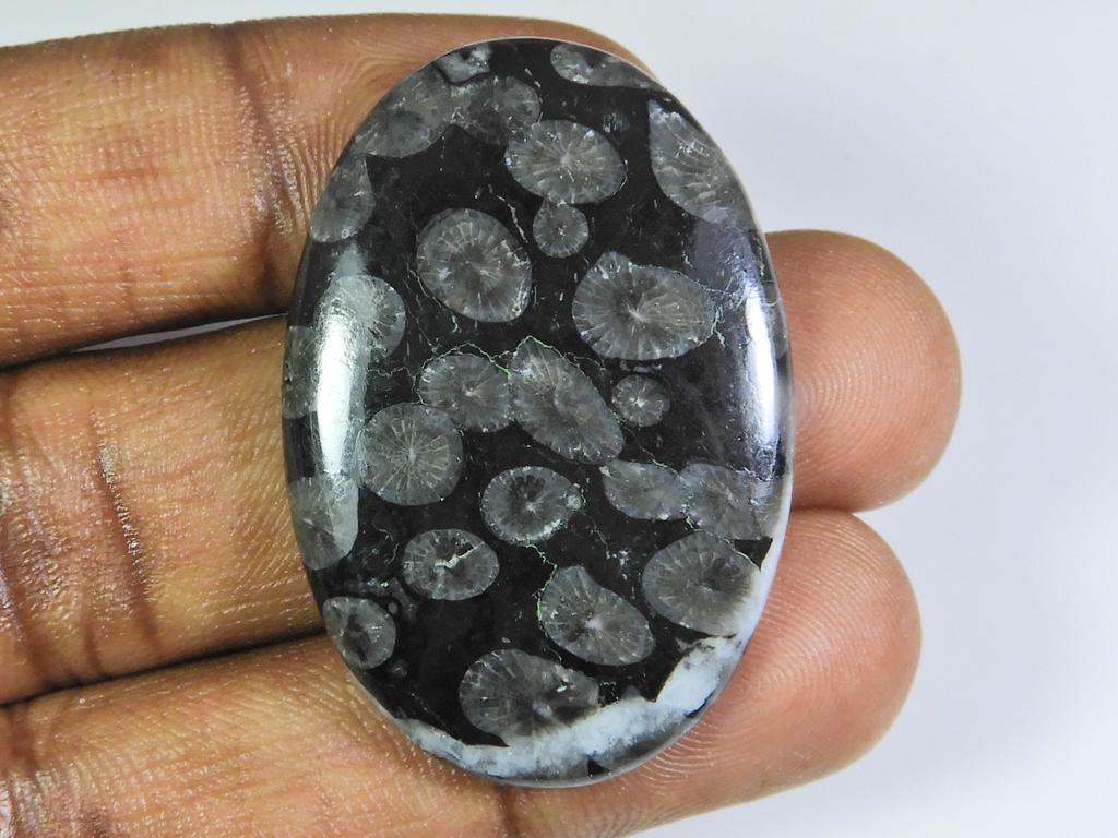 AA++ 55Cts.Natural Black Fossil Coral Oval Cabochon Loose Gemstone 28X41X5MM ET-301
