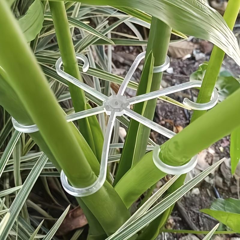 A set of four multi-functional plant support frames for plant growth, suitable for both indoor and outdoor use