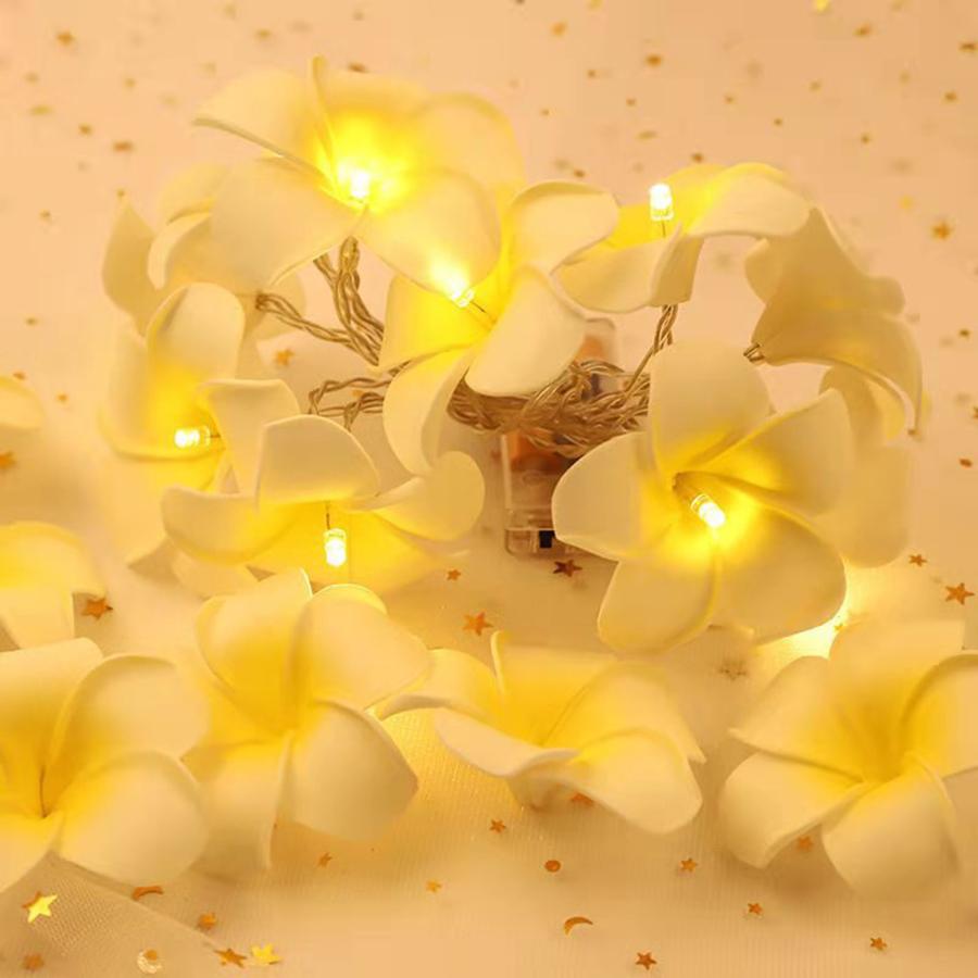

LED egg flower string warm white flower girl flower string light room decoration light 10Led1.5m-USB теплый белый