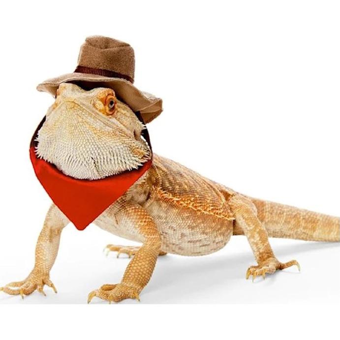 BAMY Bearded Dragon Cowboy Hat and Bandana Set Halloween Lizard Reptile Costume Cool Pet Cap Small Animal Outfit Suit for Cosplay (Cowboy)