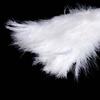Elegant Stylish Soft Props Party Gifts Decorative Fan Fluffy Fans Party Supplies