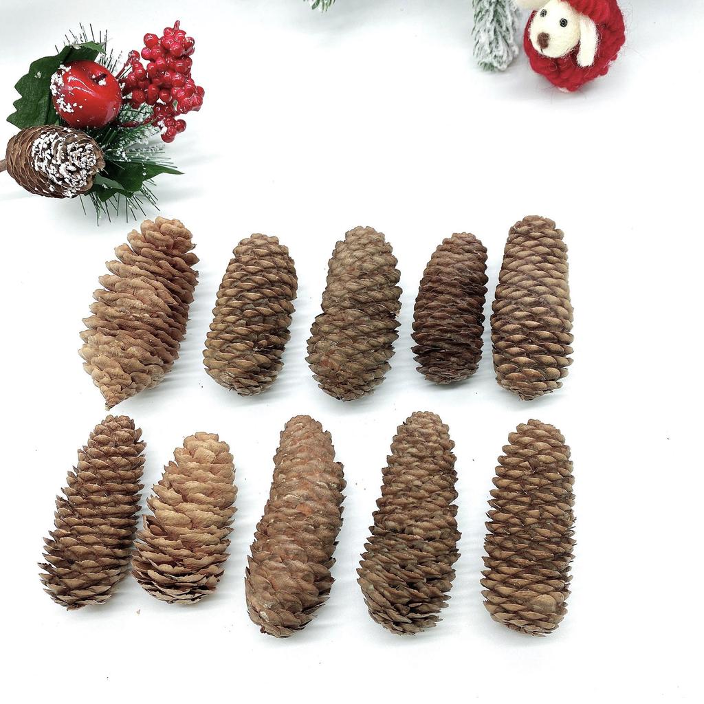 Natural Dried Pine Cones for Christmas Tree Decoration, Photography Props, Floral Wreaths, and Bouquets.