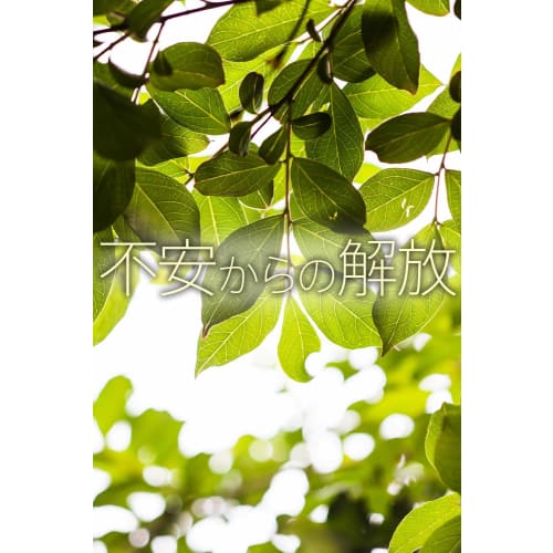 Wave the Stone Crystal Tuner 396Hz Tuning Fork Mallet with Case, Angel's Door Purification Set (#2C801) (Crystal Tuner 396Hz)