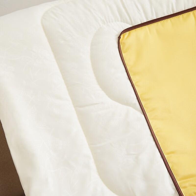 Hengyuanxiang 'Wealth & Glory' Brocade Cushion Quilt