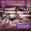 Halloween Home Decor Yard Porch Ornament Haunted House Realistic Artificial Spider Black Plush Halloween Giant Fake Spiders