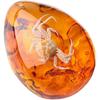 Queenbox Resin Amber Insect Pendant Butterfly Fossil Samples Stones Crystal Home Decorations and Jewelry Making