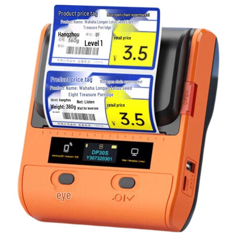 YINLIFUN DP30S Portable Bluetooth Label Printer CN plug (adapter included)