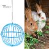 Hanging Chicken Feeder Hamster Rabbit Treat Ball Vegetable String Ball Poultry Fruit Holder with Adjustable Height Stainless Steel Chain Easy