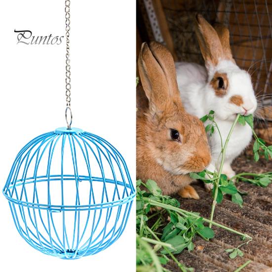 Hanging Chicken Feeder Hamster Rabbit Treat Ball Vegetable String Ball Poultry Fruit Holder with Adjustable Height Stainless Steel Chain Easy