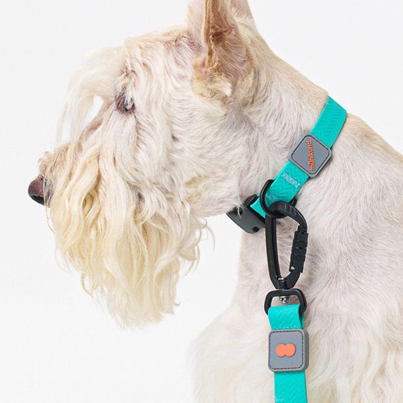 MUNIKUND Water-Block Collar Green