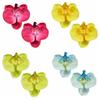 2pcs Korean Style Artificial Butterfly Orchid Decoration Flowers Orchids  Car Home Decoration