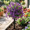 Künstliche Violette Formschnittbäume mit Dornen UV-beständige Kunststräucher Büsche Frühling Sommer Kunstpflanzen für Garten Veranda Terrasse