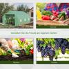 Foil Greenhouse Foil Greenhouse Cold Frame Plant House Tomato House Gable Roof 350L × 300W × 200H Cm