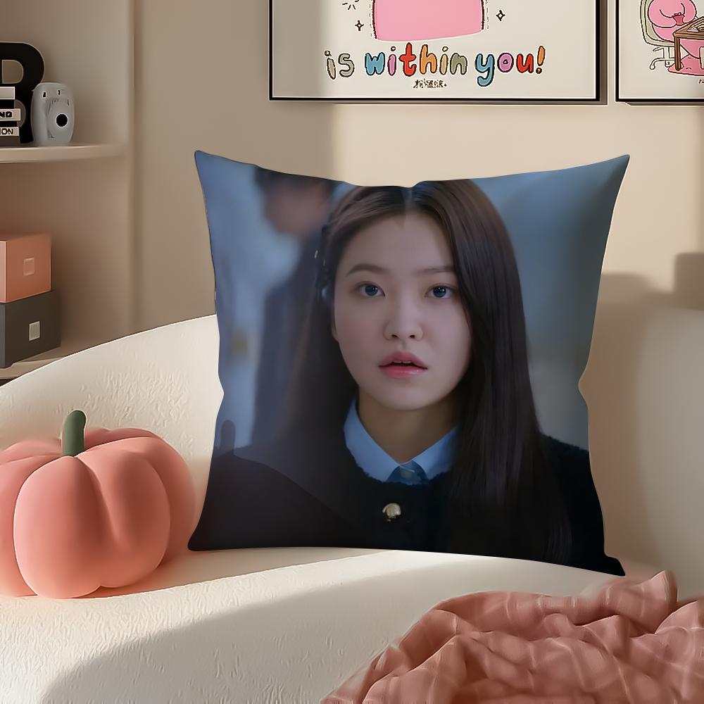 CCheongdamdong High SSchool Cushion Cover Pillowcase Short Plush Invisible zipper Room Sofa Cushion Cover