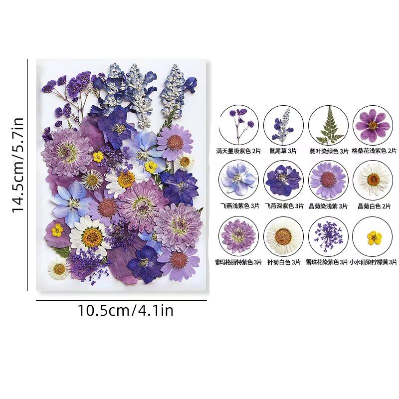 31-35PCS Dried Flower Set Mixed Multiple Pressed Flower Leaves DIY Candle Resin Nails Jewelry Pendant Crafts Art Floral Decors