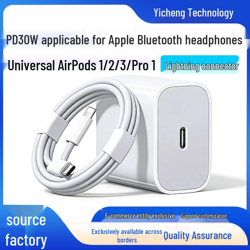 30W Fast Charger & Data Cable for Apple AirPods Pro 1/2 Bluetooth Earbuds