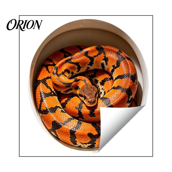 Creative Home Soft Decoration Realistic Snake Toilet Seat Sticker, PVC Waterproof Python Funny Vinyl Sticker Decal, Lid for Bathroom Wall Art