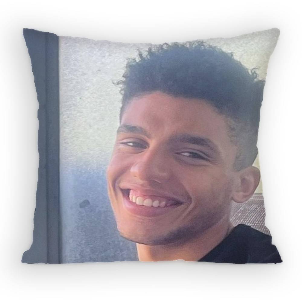 Jay Lycurgo Actor Tim Pillow Case Antidustmite Pillowcase Invisible zipper silky short plush Sofa cushion cover