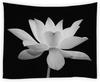 Lotus Tapestry Black and White Flower Elegant Floral on Black Background Modern Unique Art Print Home Decor Tapestries Wall
