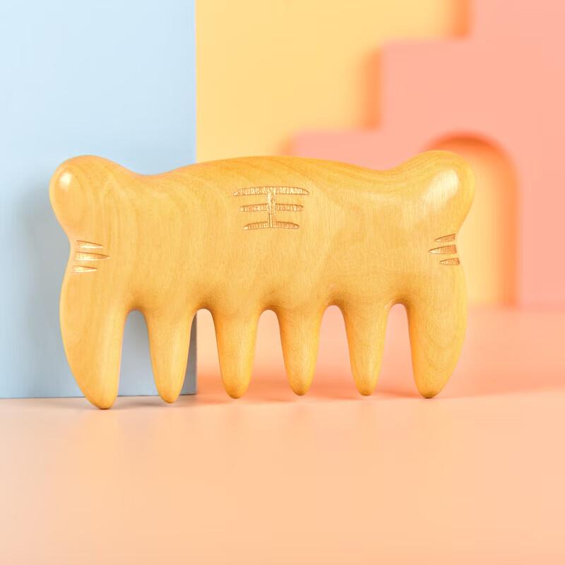Tan Mujiang Lucky Tiger Meridian Comb Gift Set
