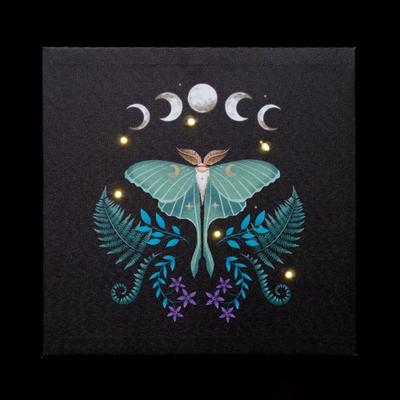 Leinwand Luna Moth Light Up Canvas