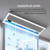 Theodoor Embedded Centrifugal Air Curtain Machine