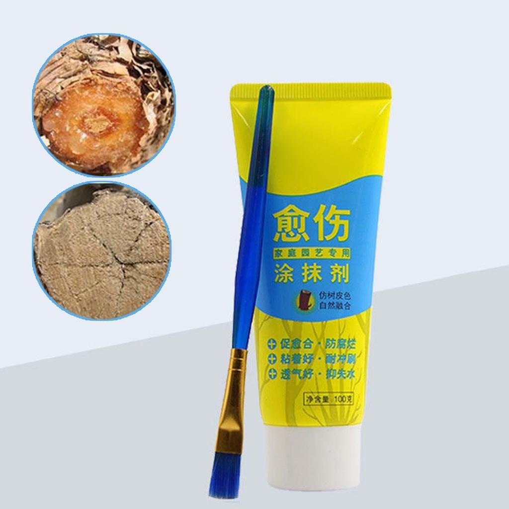 Tree Wound Sealer Multifunction with A Brush Healing Compound Cream 100G Pruning