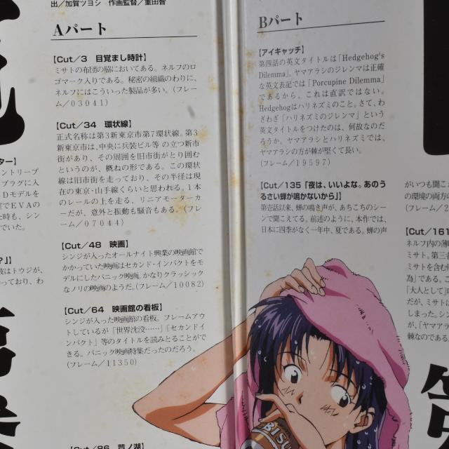 Used Neon Genesis Evangelion Genesis 0:2 LaserDisc NTSC Japan