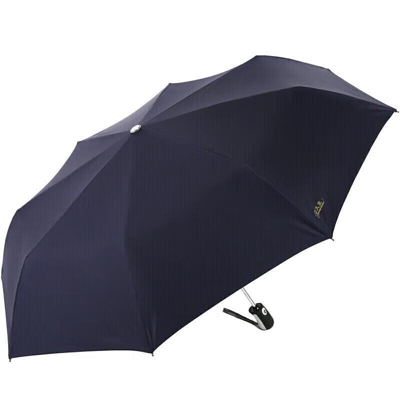 Paradise Automatic 3-Fold Windproof All-Weather Business Umbrella
