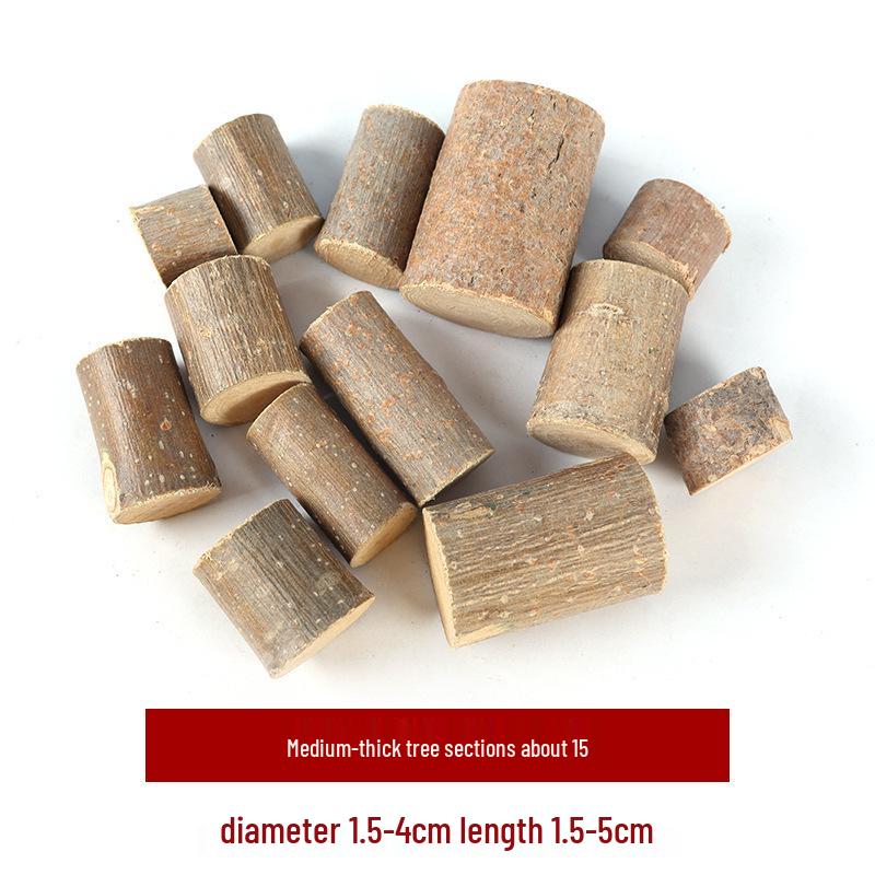 Wood Chips & Tree Slices DIY Craft Kit for Kids