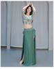 Oriental Mesh Print Belly Dance Performance Dress Set for Women