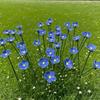 10pcs Forget-Me-Not Ceramic Flowers Handcrafted Fade-Resistant Pottery Decor for Indoor/Outdoor Home Decoration Preserved Flower