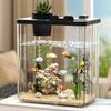 Peixes e animais aquáticos – Decoração de aquário