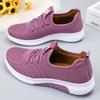 Autumn and Winter Cloth Shoes Women's Cotton Shoes Medium and Old Velvet Thickened Two Cotton Shoes One Pedal Casual
