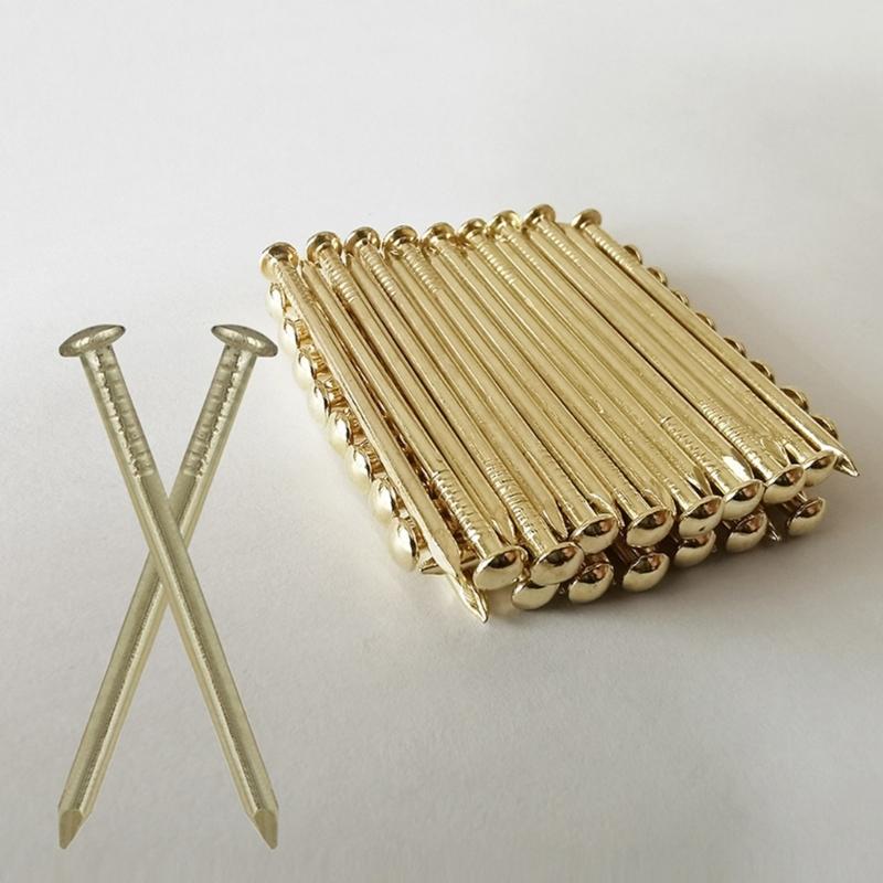 Small Hanging Nails Set for Wall Hanging, 300 Gold Tone Round Head Iron Nails in 6 Lengths with Storage Case for Daily Home Projects