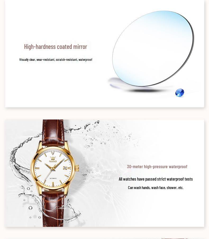 Women's Classic Waterproof Leather Strap Mechanical Watch