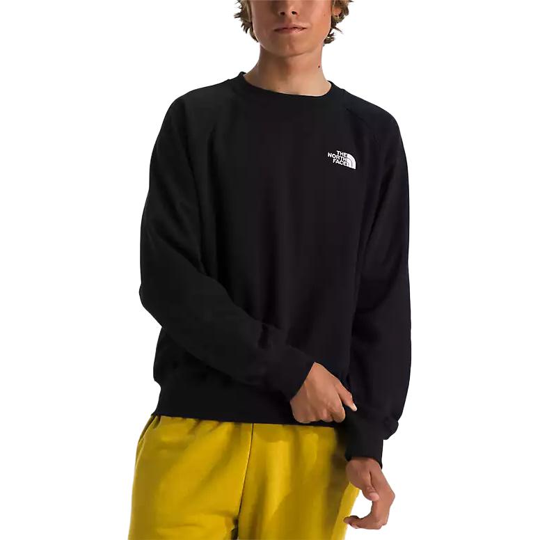 THE NORTH FACE Logo T shirt NF0A86WA-KY4