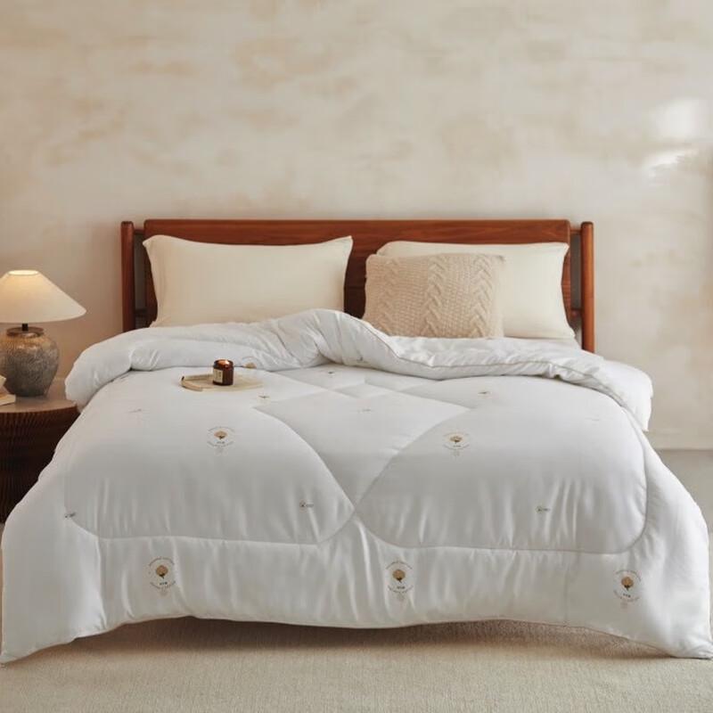 

HODO All-Season Polyester Quilt