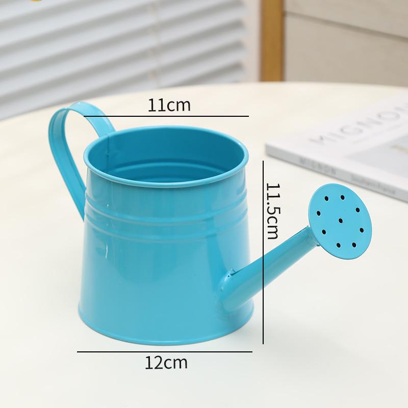 Retro Eisen Sukkulenten Gießkanne: Ausgehöhltes, Distressed-Design für Haushalt & Blumengebrauch