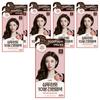 Elastin Shampoo-Free 10-Minute Easy Hair Dye Dark Brown 6 Pcs