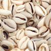 23-85pcs/lot Multisize Natural Sea Shell Beads Loose Spacer Beads For Jewelry Making DIY Bracelet Necklace Earrings Accessories