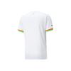 Puma Ghana Home 22/23 Replica Jersey Qatar World Cup Logo Print V-Neck Short Sleeve Football Shirt Men Jersey White 765780-01