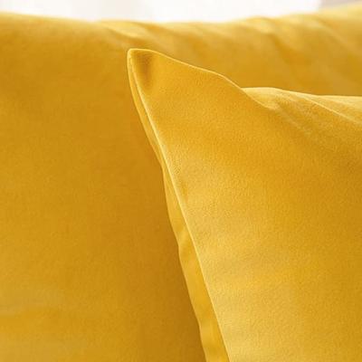 Solid Color Pillowcase Customized Size Dutch Velvet 30x50cm 40/45/50/55/60cm Bed Sofa Cushion Cover Car Hallowee Home Decoration