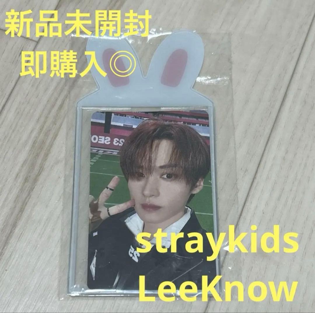 

[USED] Stray Kids Lee Know (Lee Bit) Photocard Case (Korean)