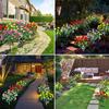 Solar Garden Lights Outdoor Decorative Solar Garden Lights with 7 Azalea  Flowers, LED Waterproof Solar Powered Garden Light
