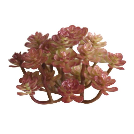 Kunstmatige vetplant bloemstuk DIY Bonsai Home Hotel Cafe Decor