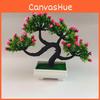 Artificial Rose The Pine Greeting Guests In Plastic Container For Office Desk And Home Decor