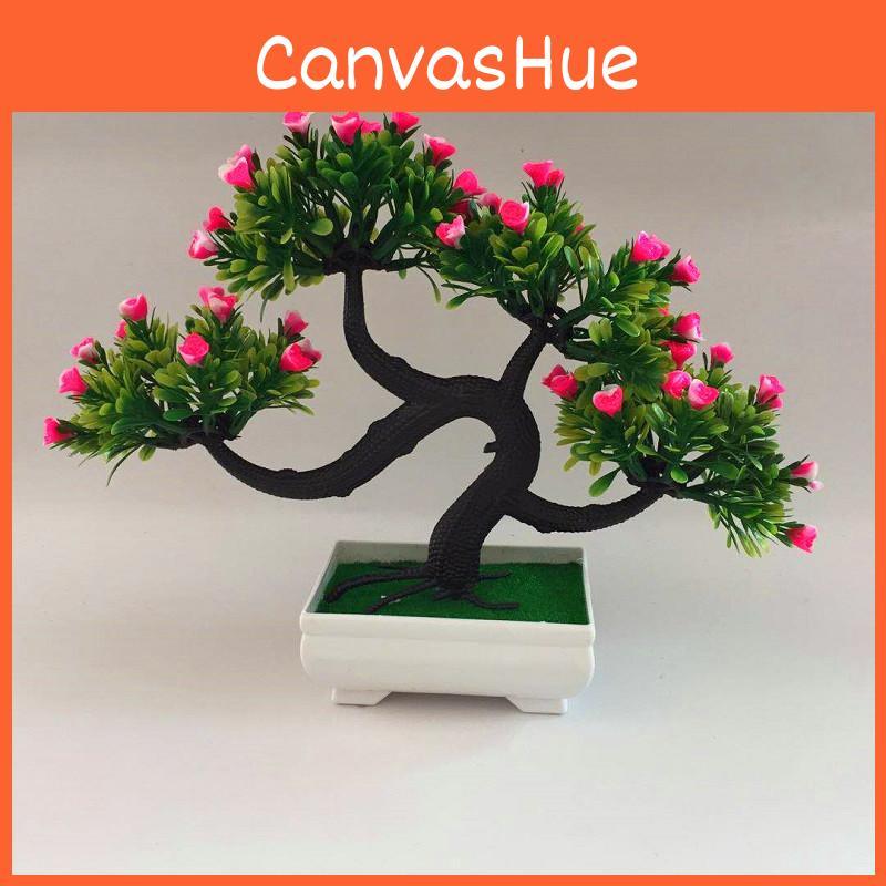Artificial Rose The Pine Greeting Guests In Plastic Container For Office Desk And Home Decor
