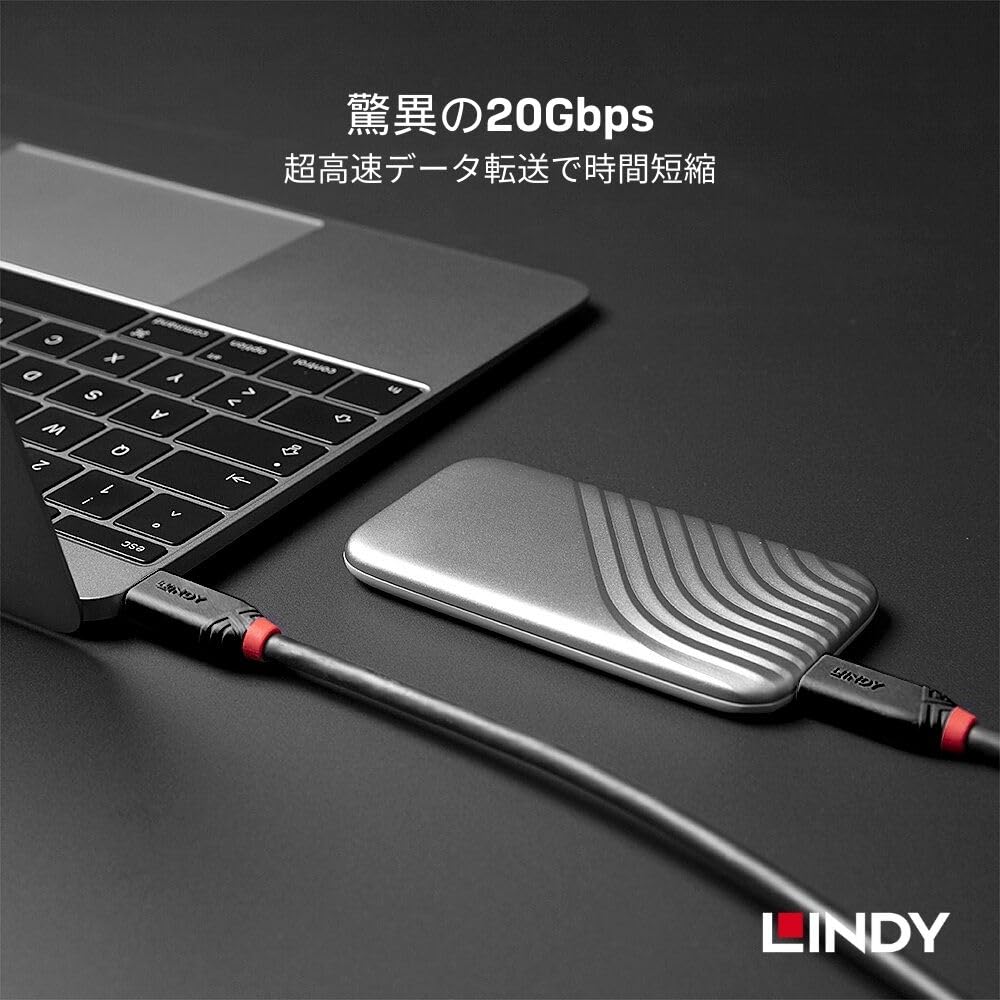 LINDY BLACK LINE USB Gen 2x2 Kabel 0,5m 3.2 Typ-C (Číslo modelu 36905)